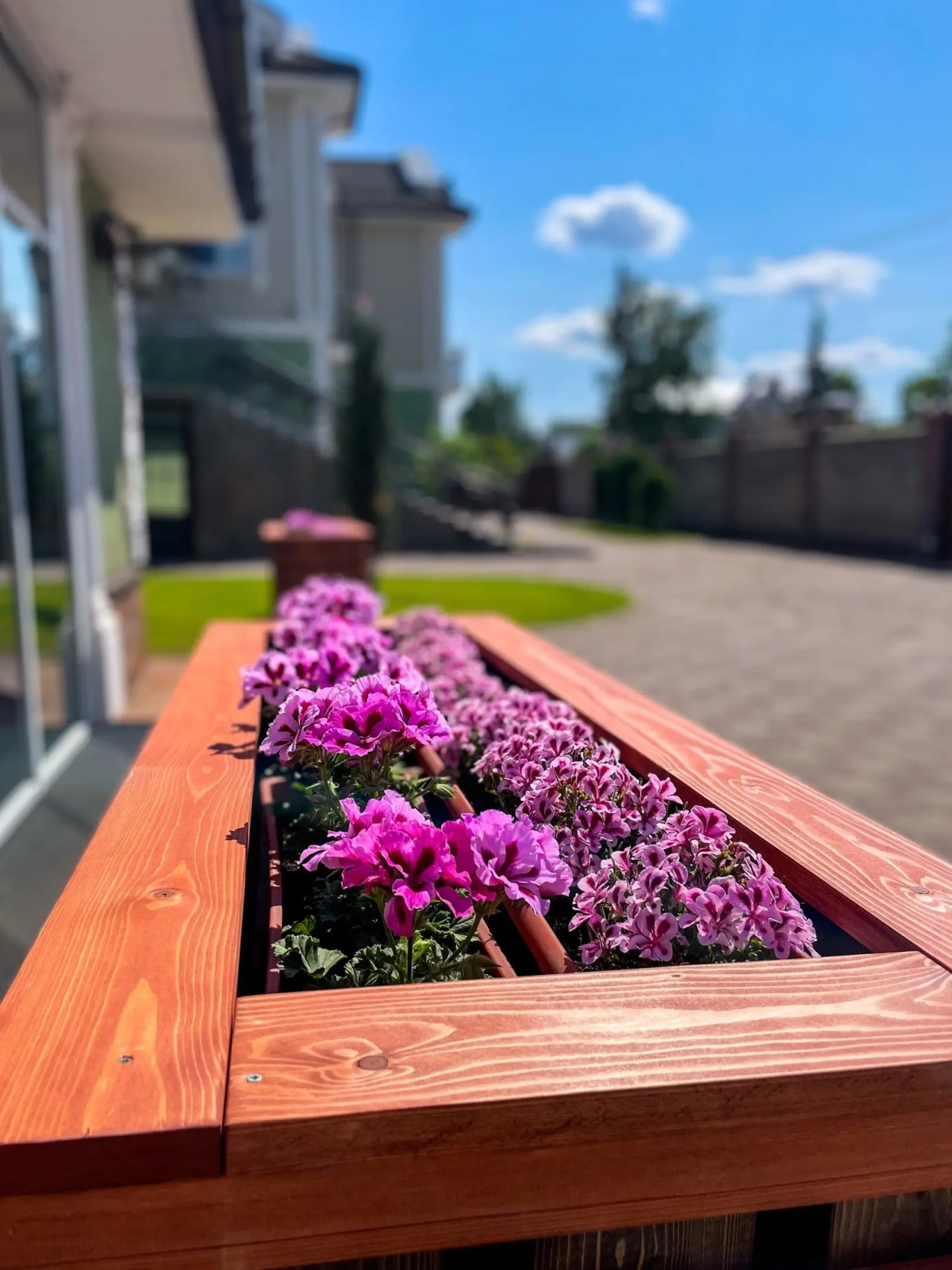 Гостевой дом Dragon Spa