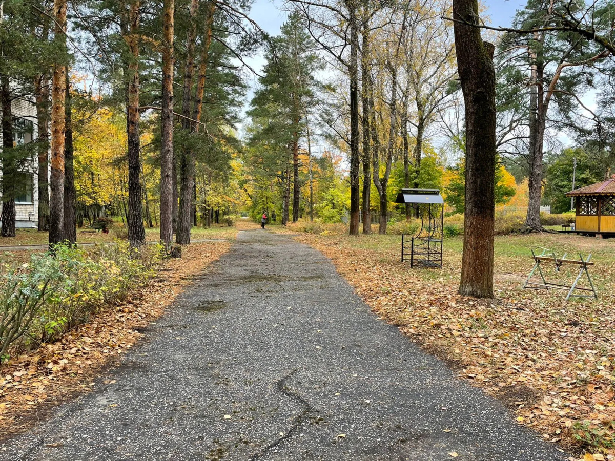 Отель Сосновый бор