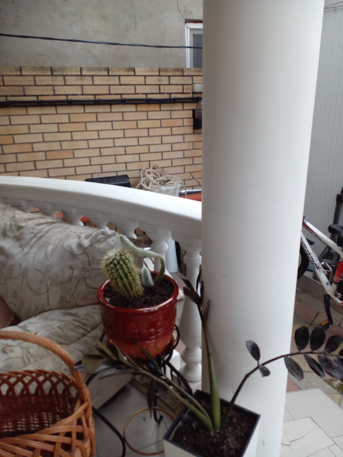 Гостевой дом Южный рай