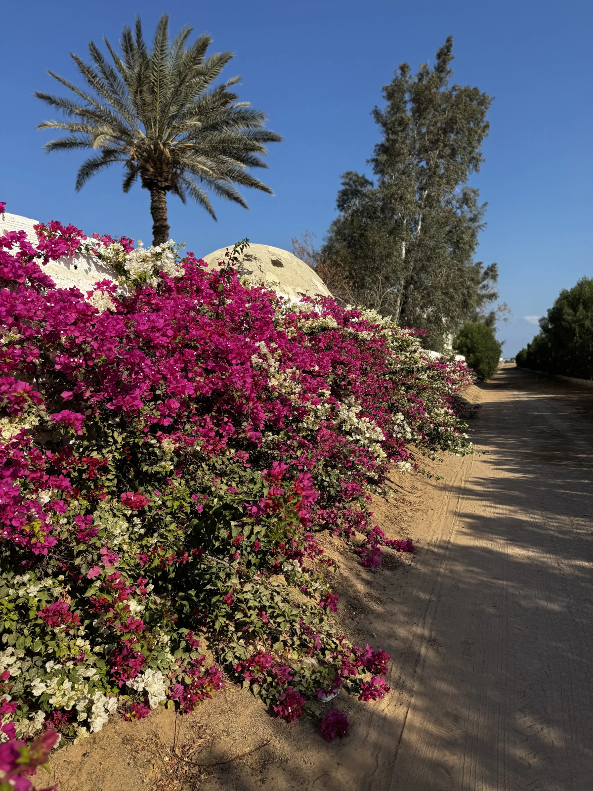 Апартаменты Princess Resort