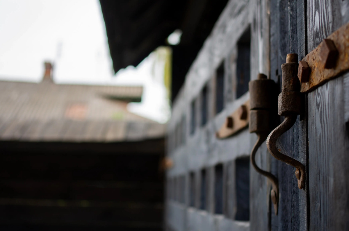 Гостевой Дом Конь в Пальто Музей и Постой