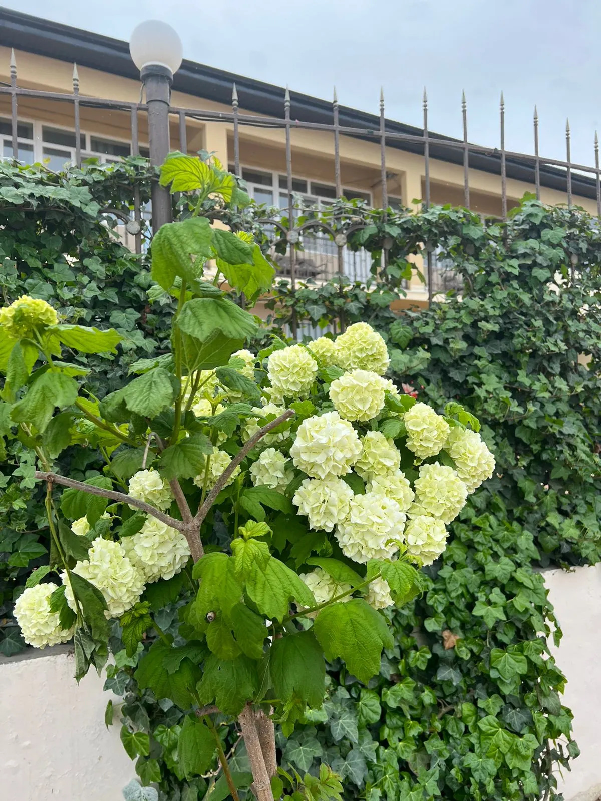 Гостевой дом Лазурный берег