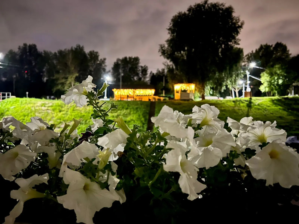 Кемпинг Яхт-клуб Фрегат