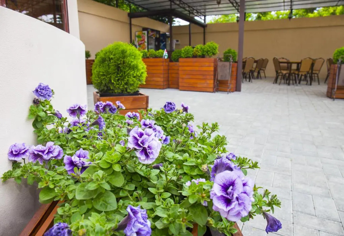 Гостевой Дом Репруа