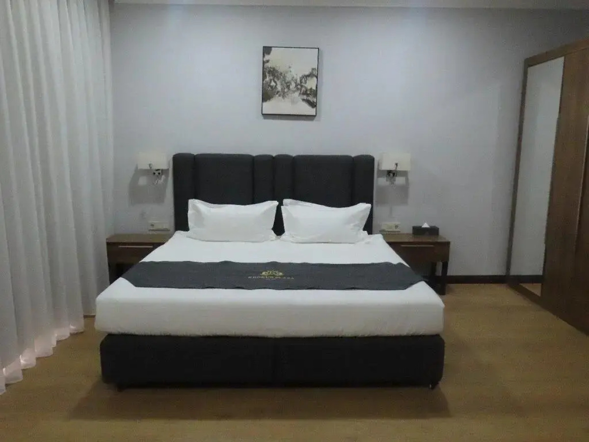 Отель Krokus Plaza