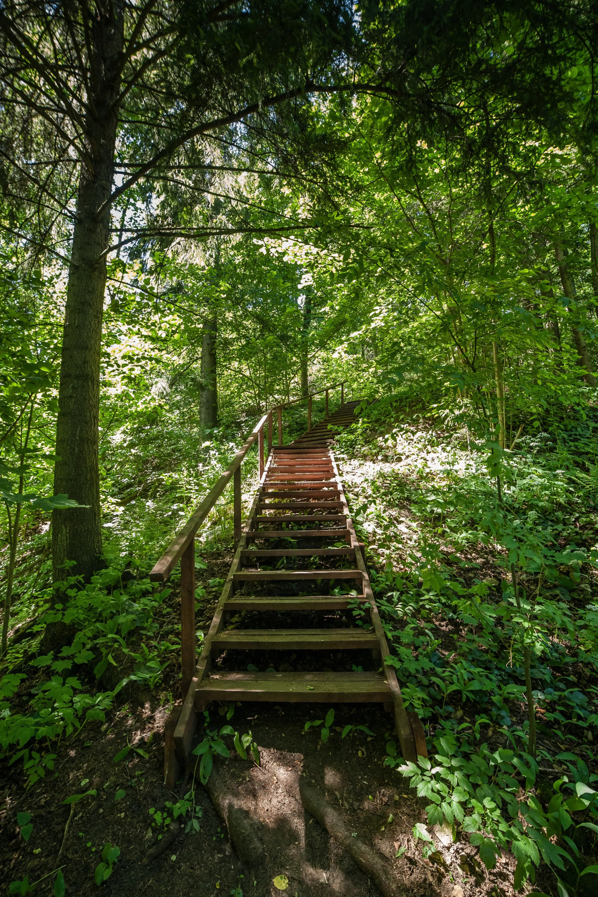 Отель Тучково СПА