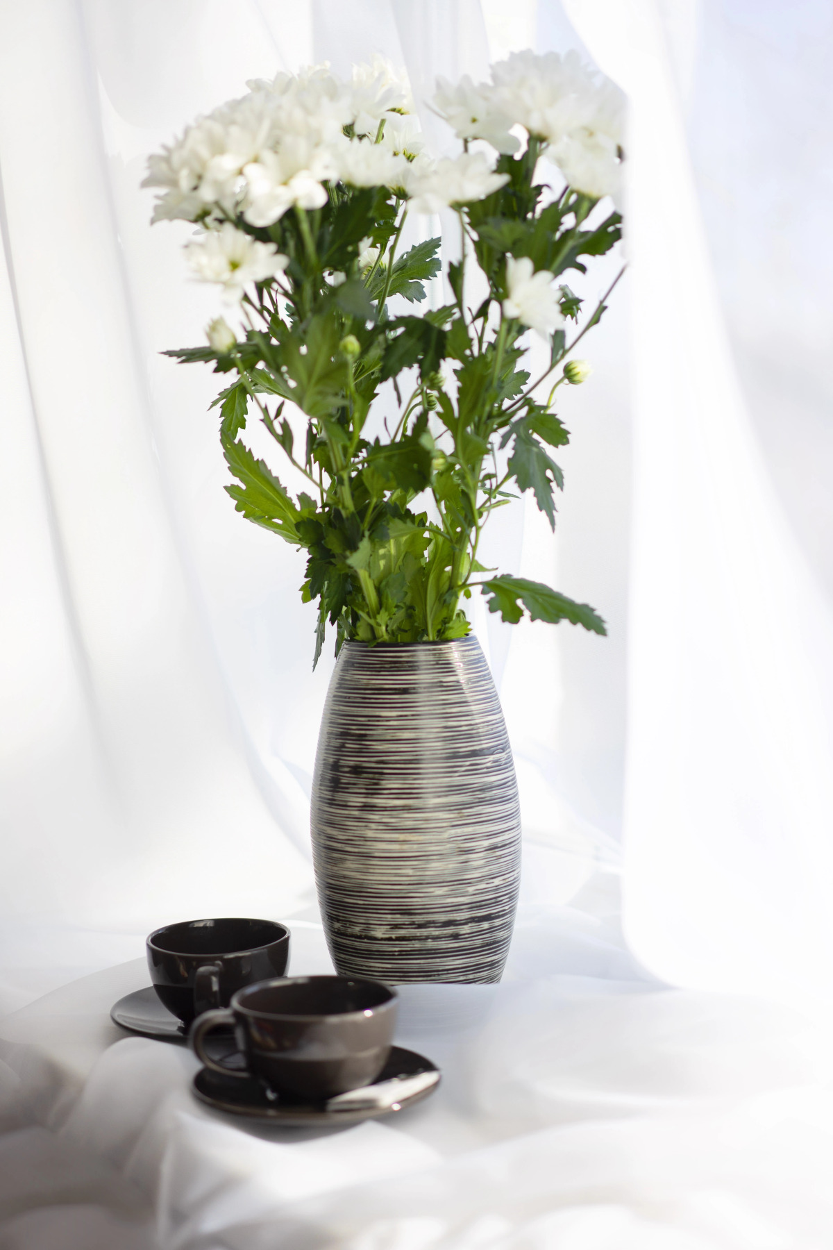 Хостел Бриз