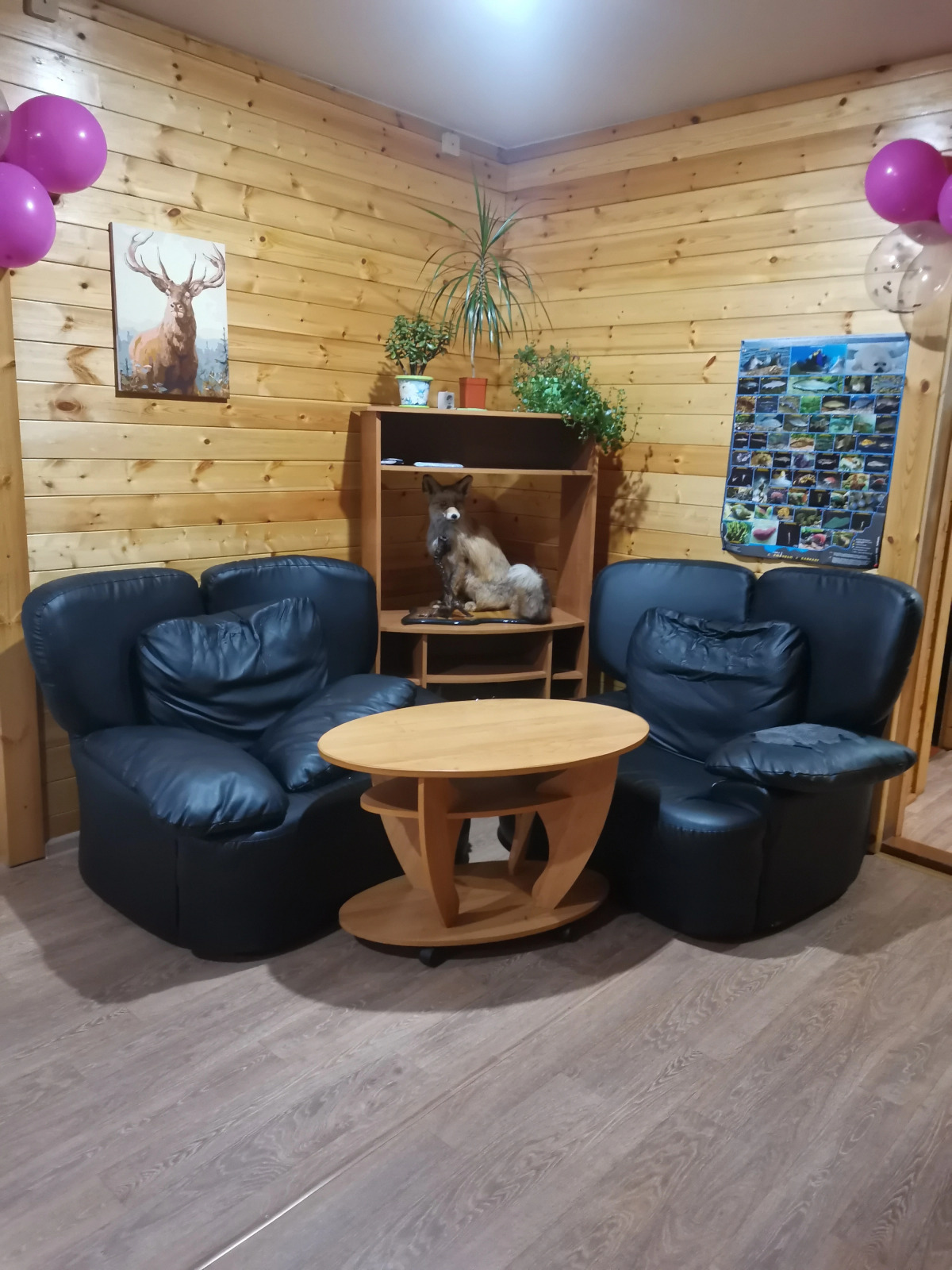 Мини-Отель Диана