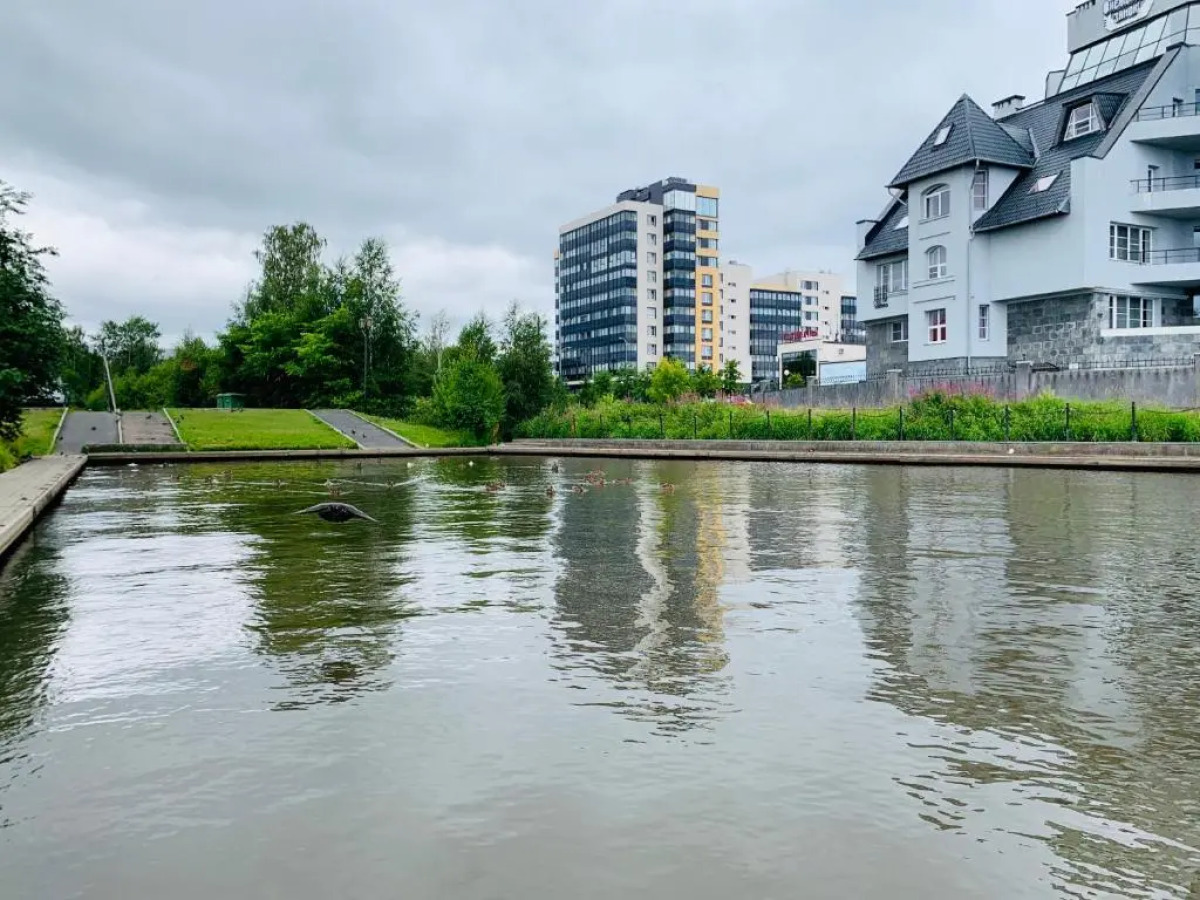 Апартаменты Live in Karelia на Федосовой 27