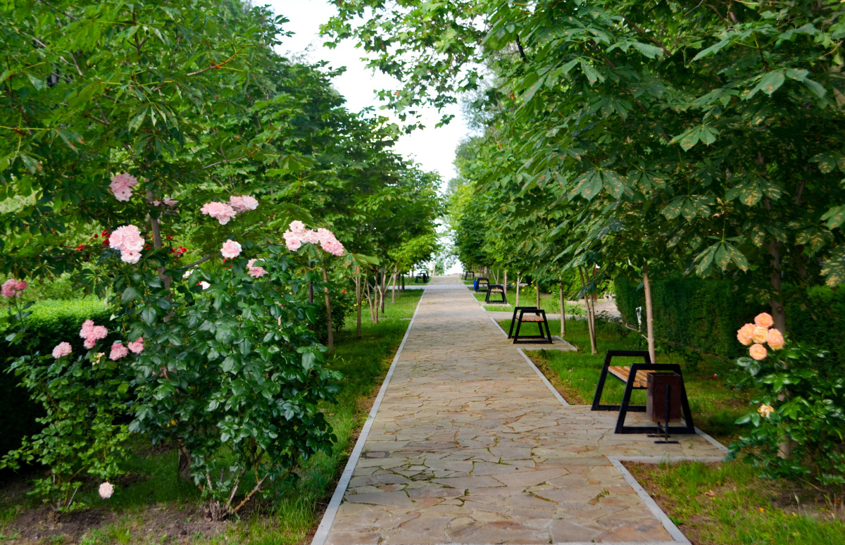 Южный берег Ейск