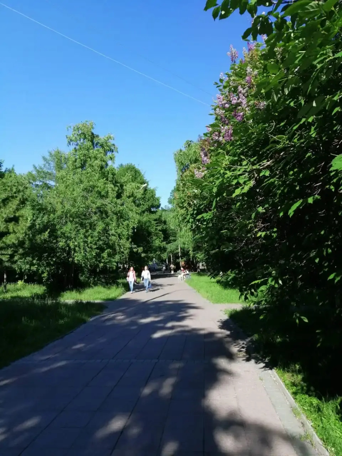 Апартаменты SiberiaLife на Ленина81