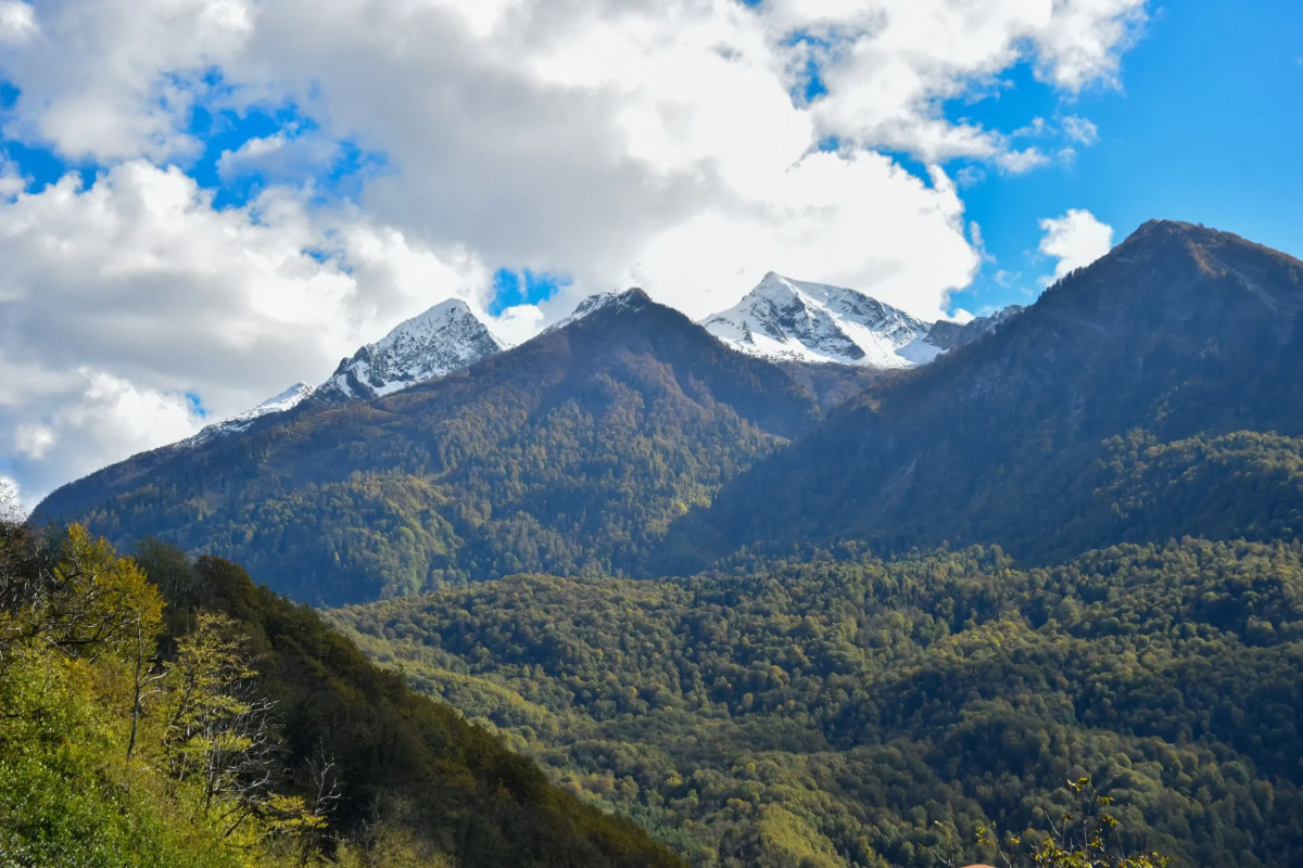 Гостевой Дом Арт Ковчег