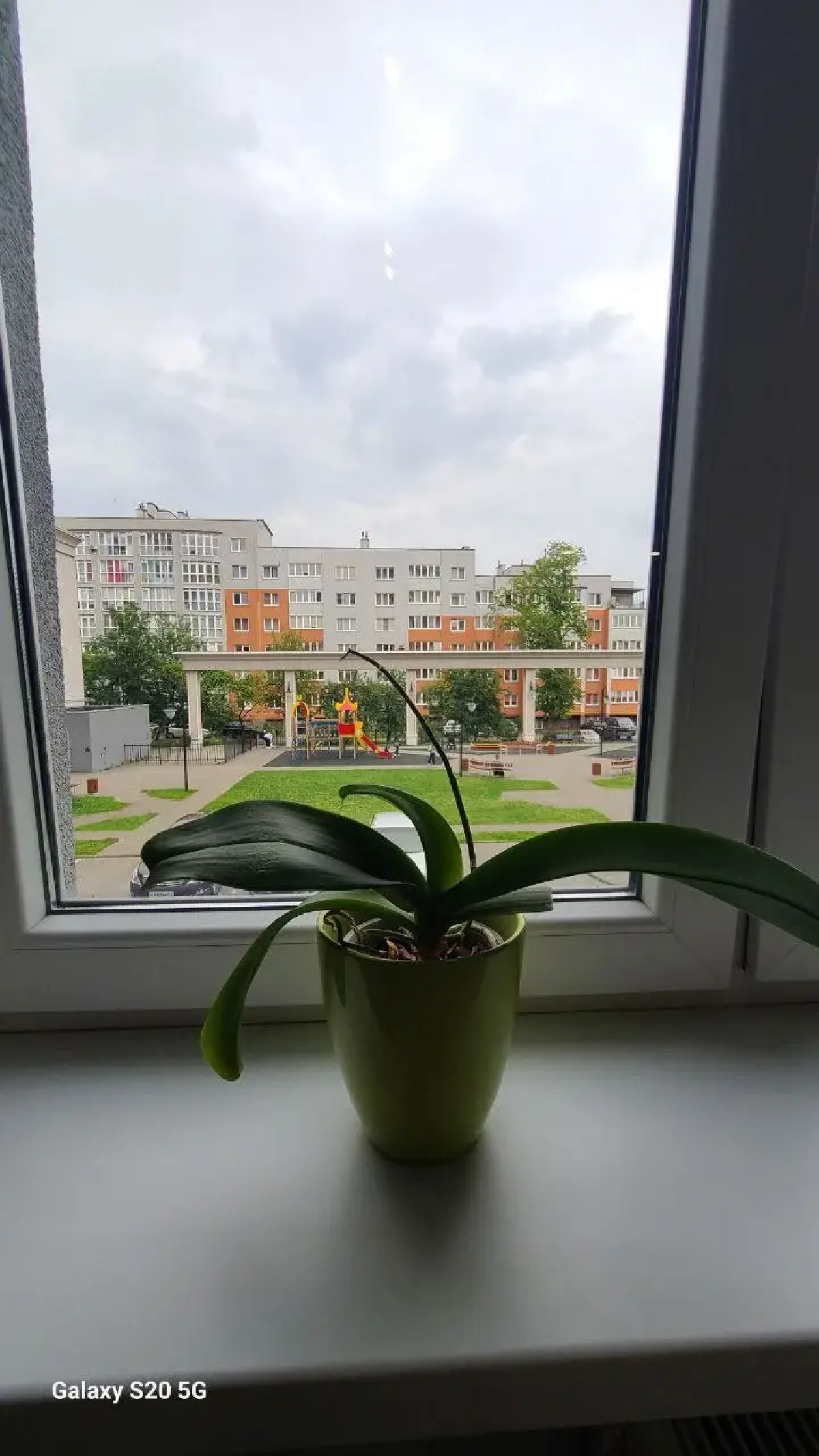 Квартира у королевских ворот