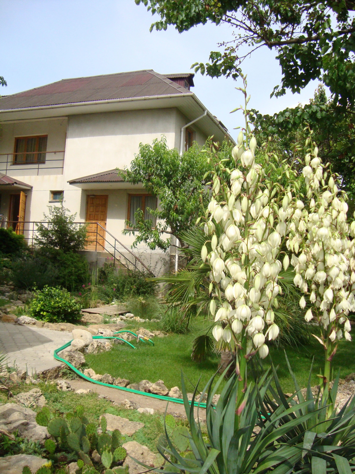 Гостевой Дом Солнечная Ривьера