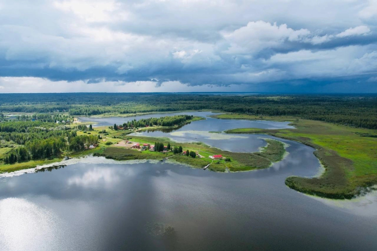 Гостевой дом Дикий Гусь