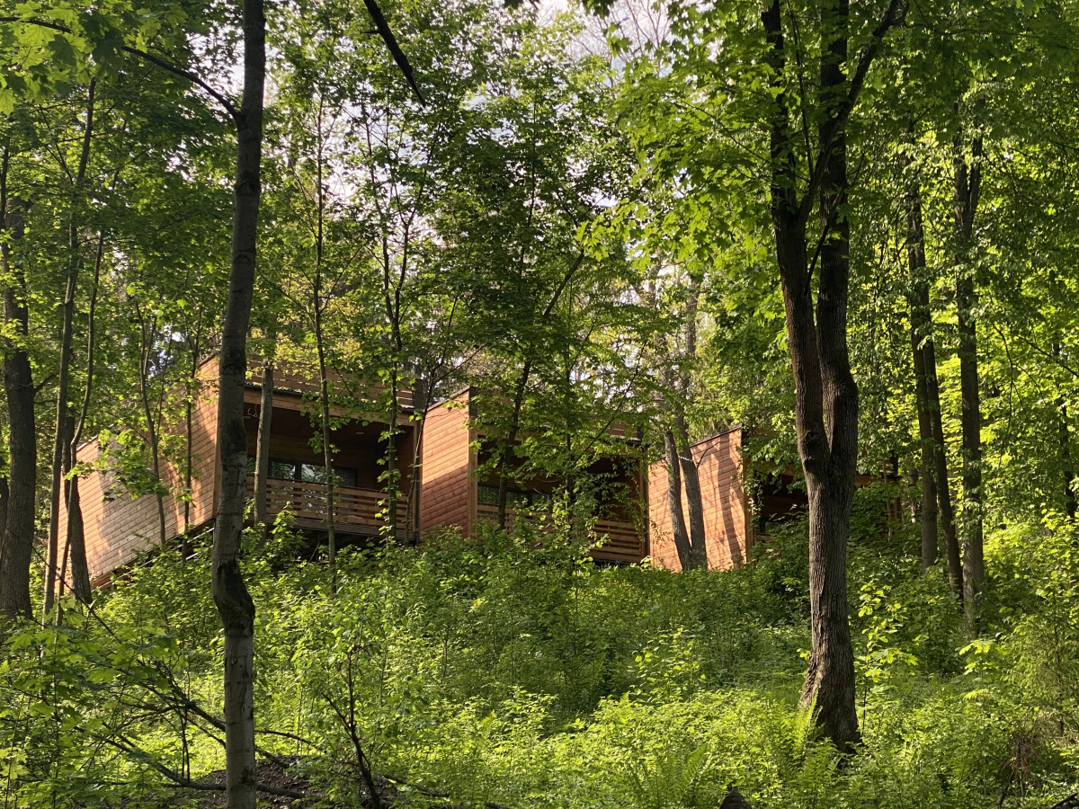 Отель Ruza Forest