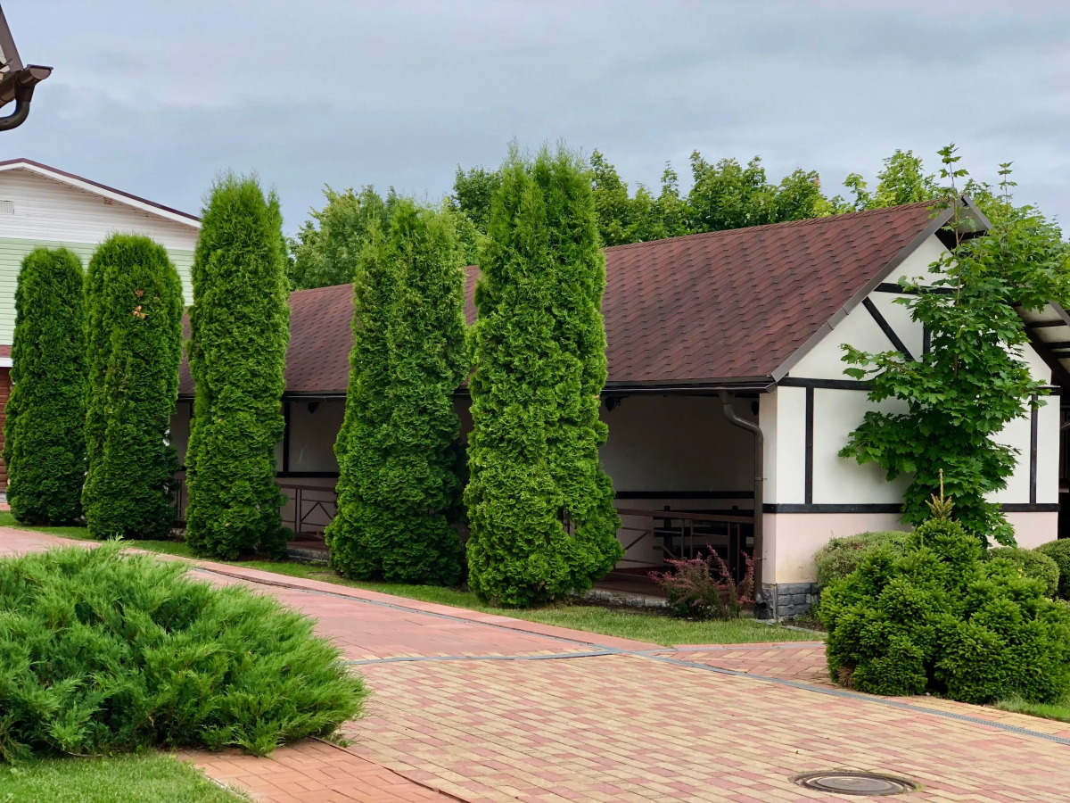 Отель Ю-Питер