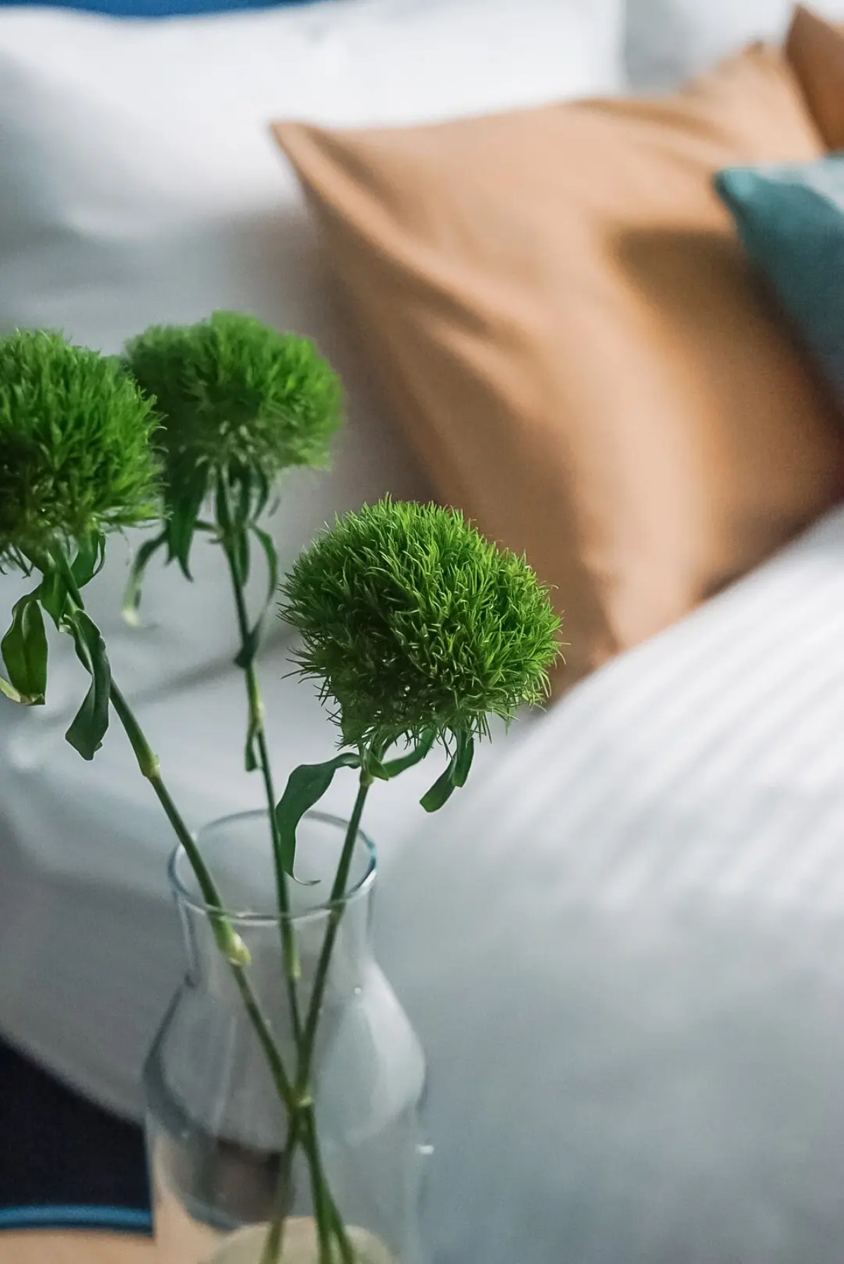 Апартаменты Pavlov C на набережной