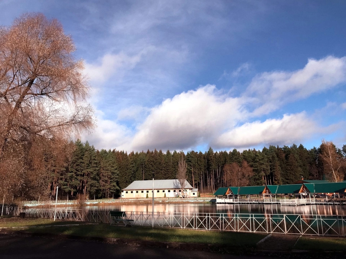 Отель Лесная Сказка