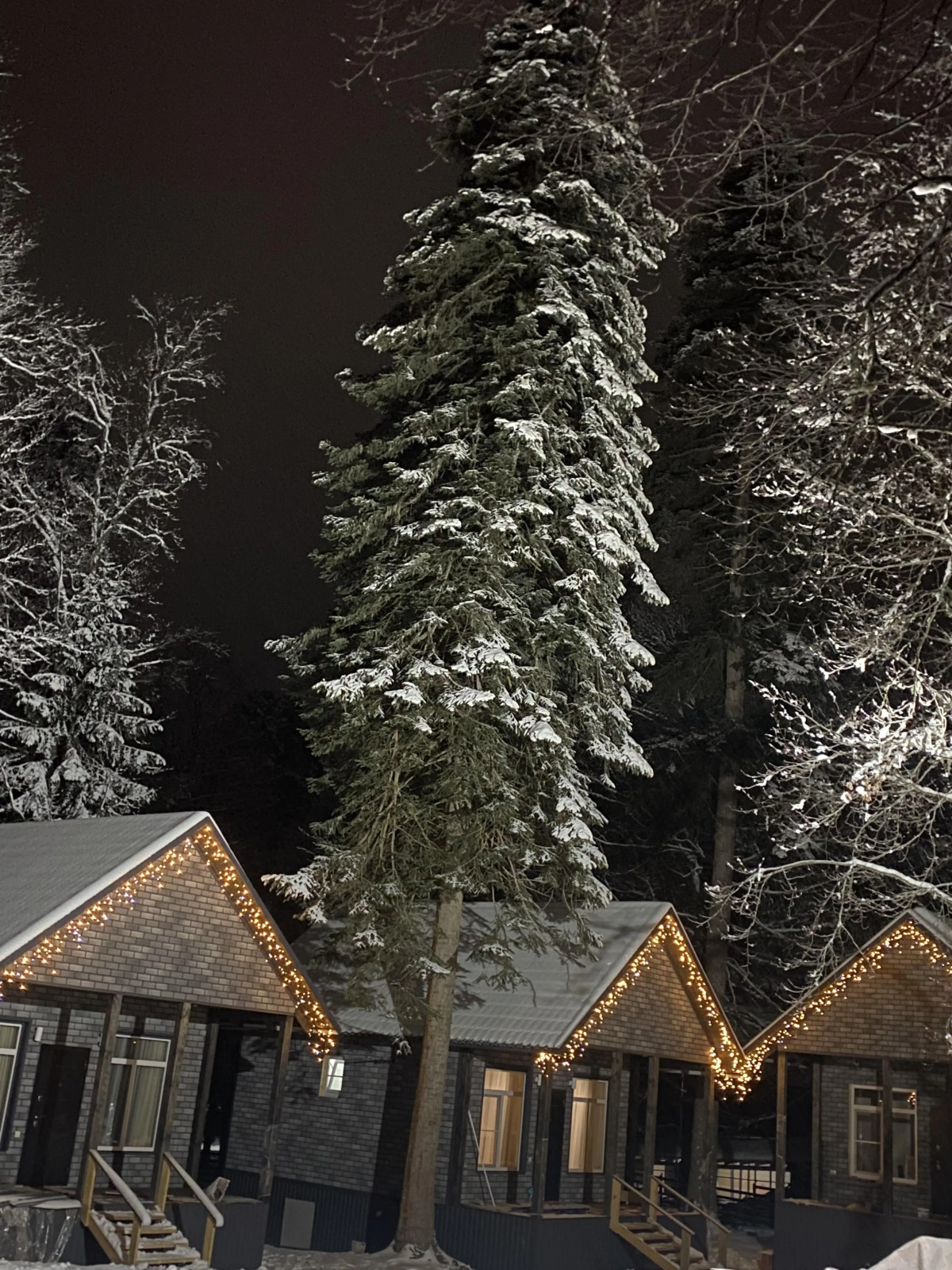 База отдыха Sova