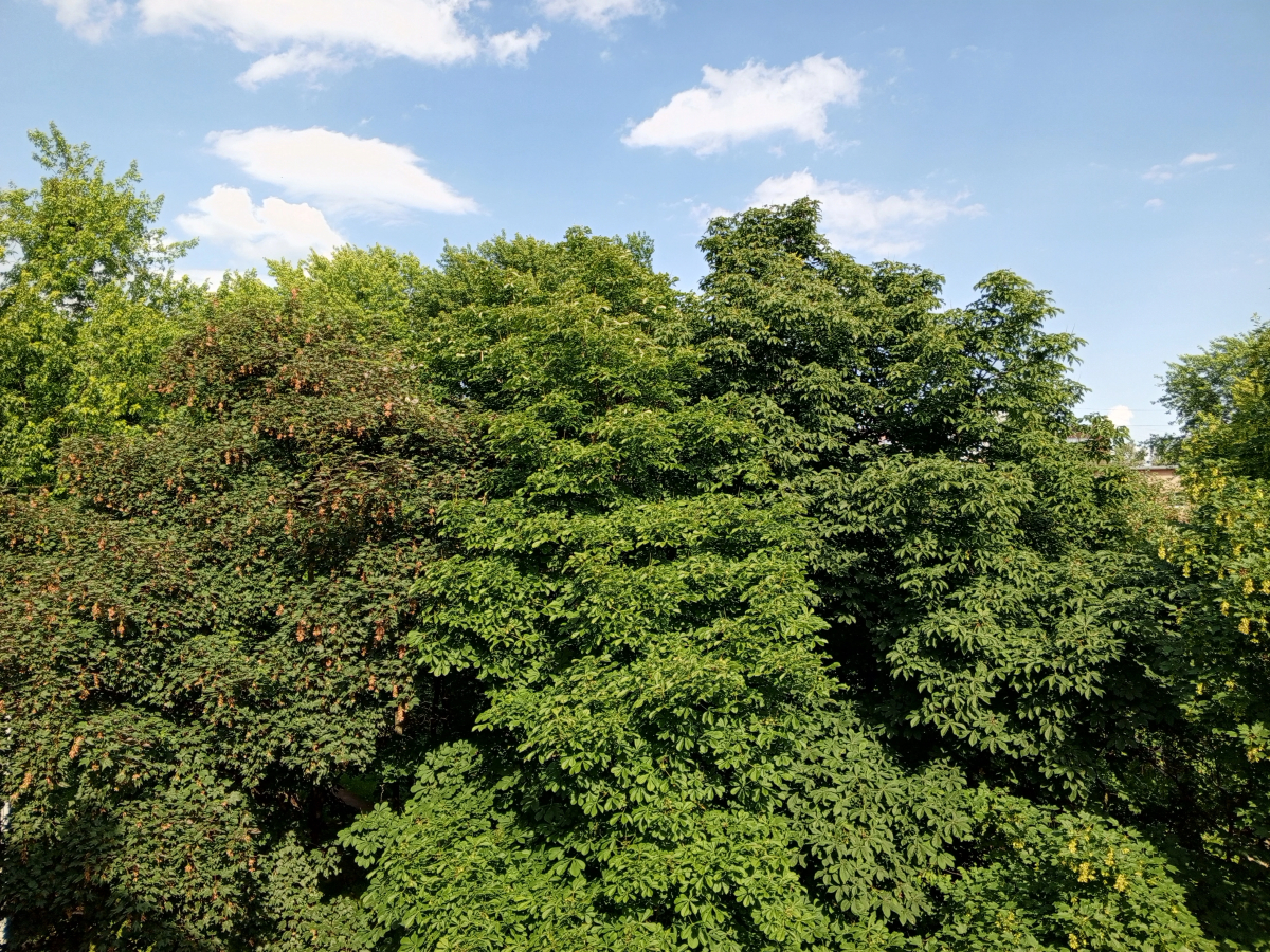 Апартаменты KönigApart