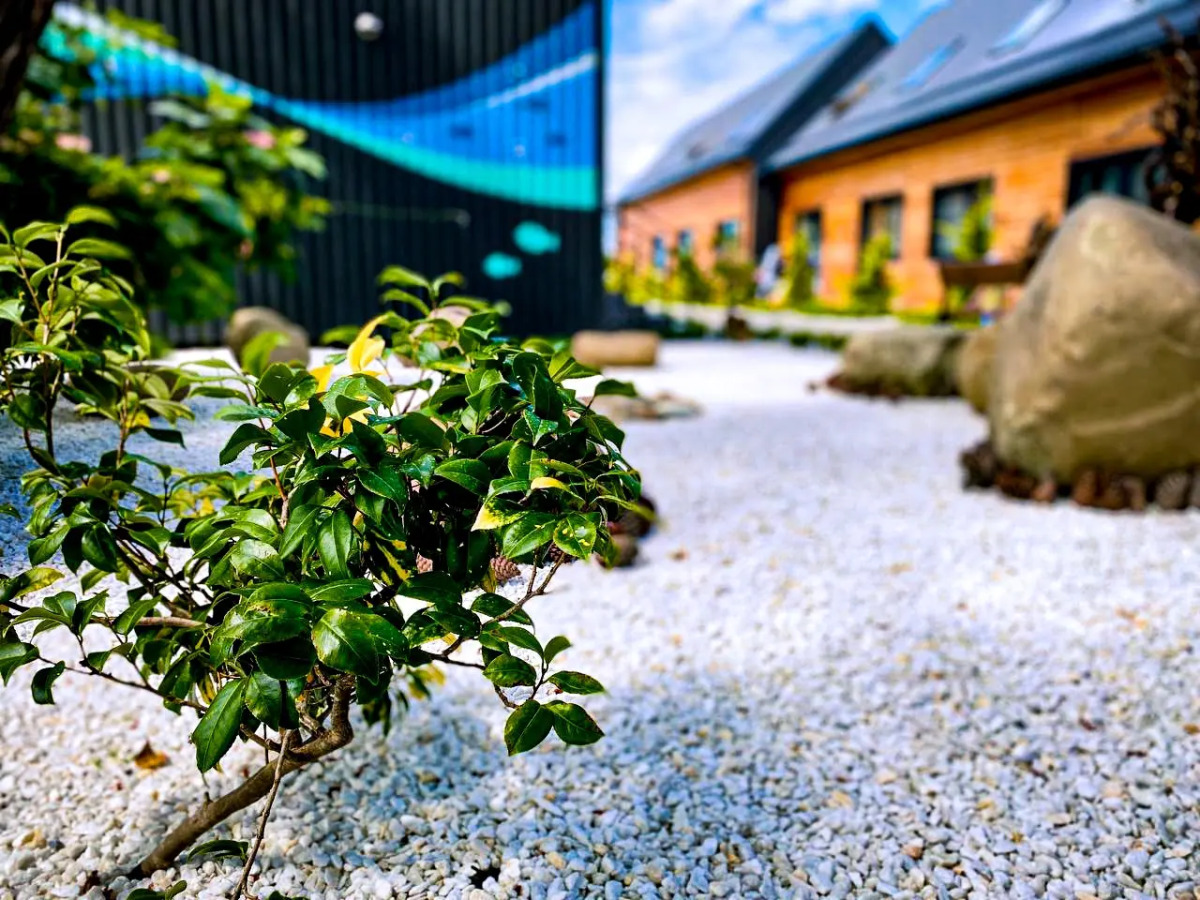 Гостевой дом На Волне