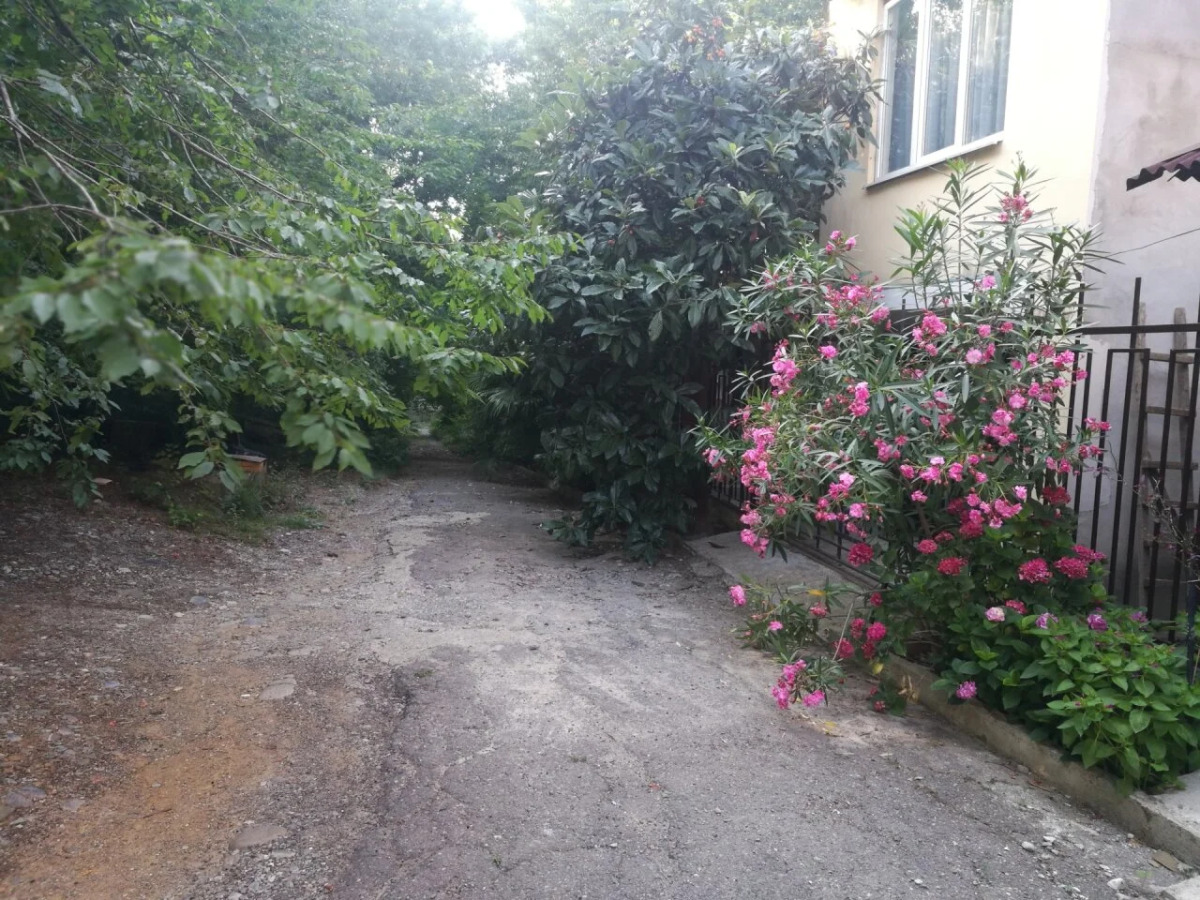 Бунгало Лесная тишина