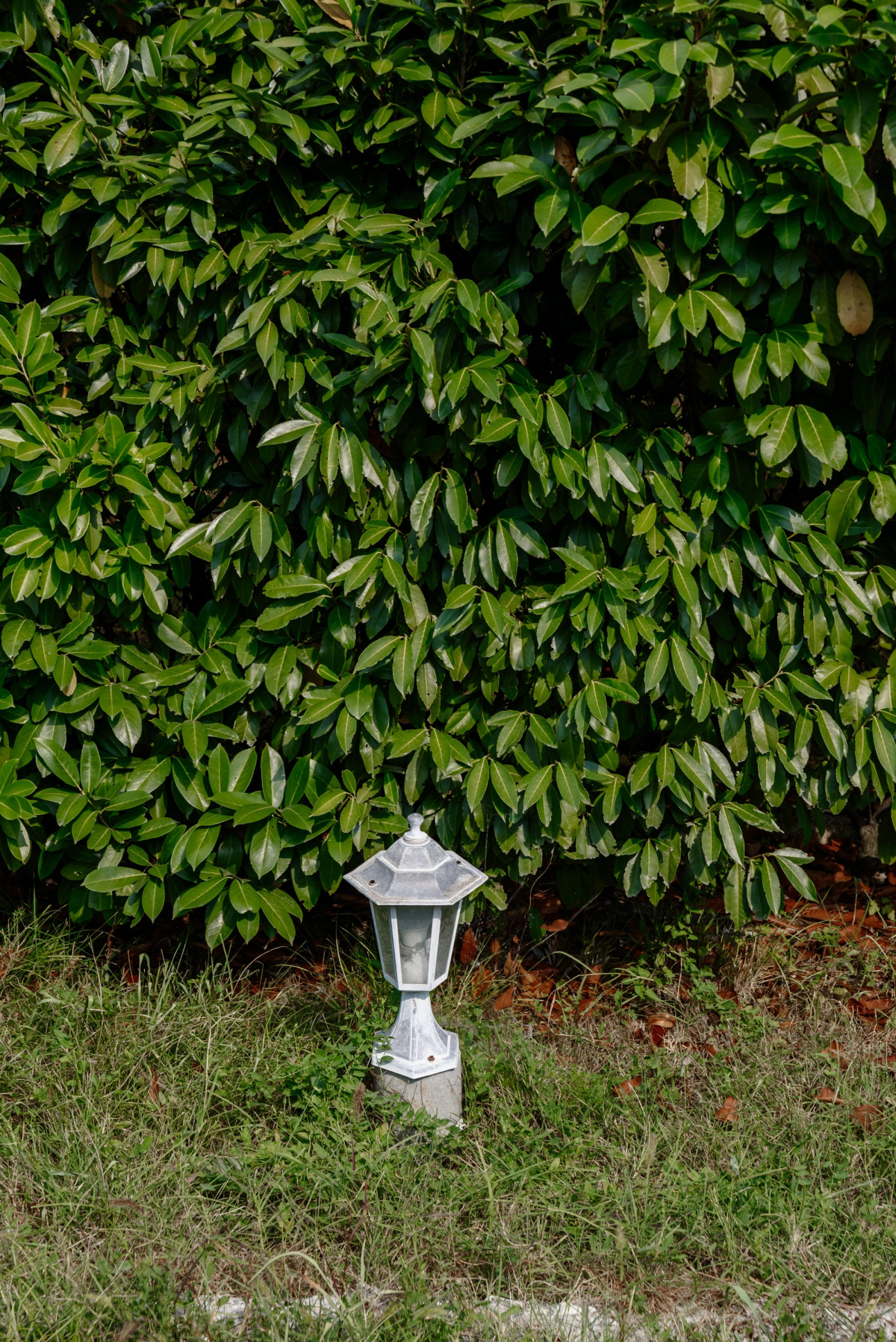 Гостевой дом Отрада