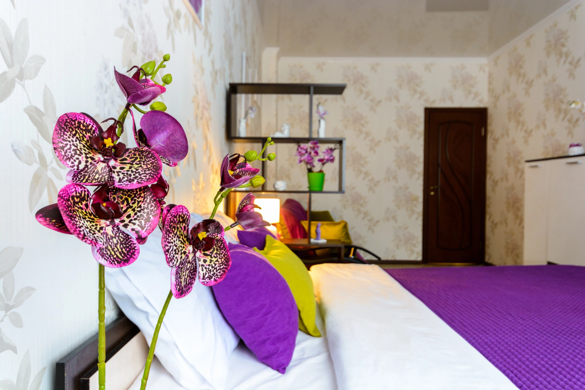 Квартира Дикая Орхидея в районе парка. Сеть Мята