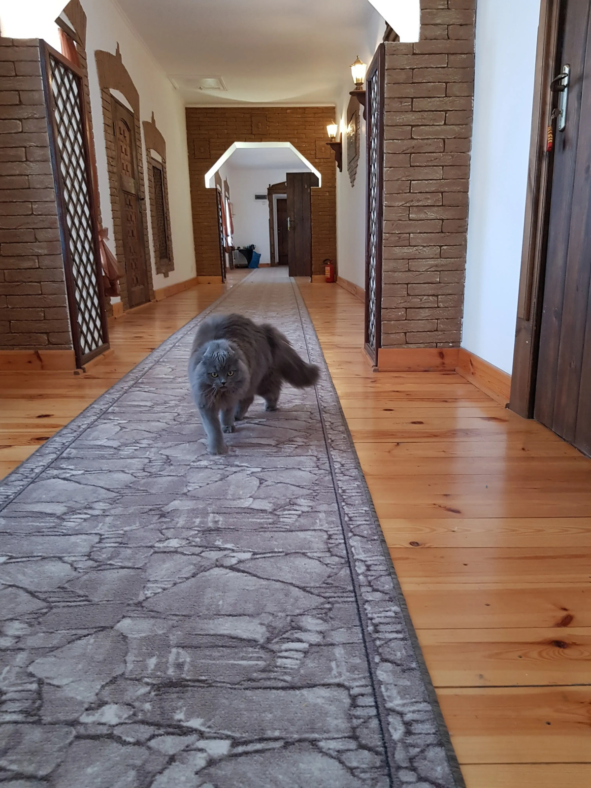 Гостевой дом Дом Ершова