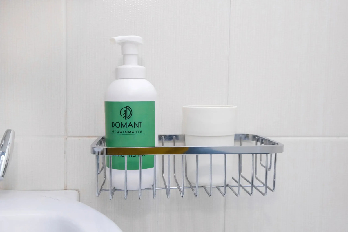 Апартаменты Домант Романова 60/1 (1)