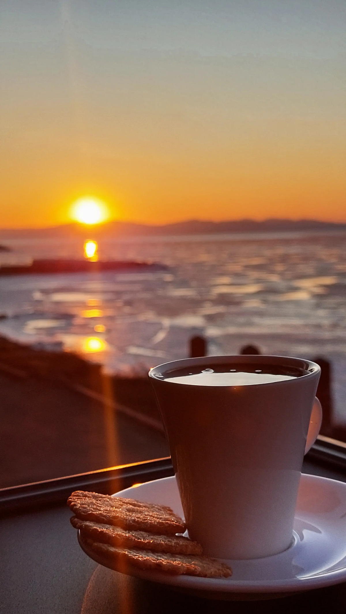 Квартира на берегу моря в центре города