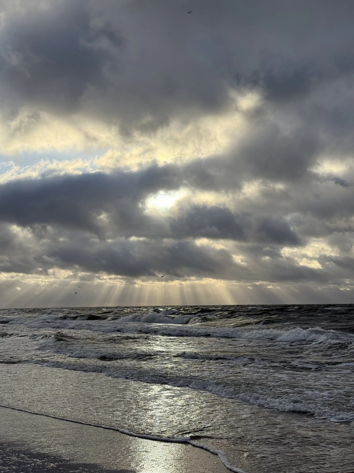 Квартира 4 на Балебина 13Б Новый Дом