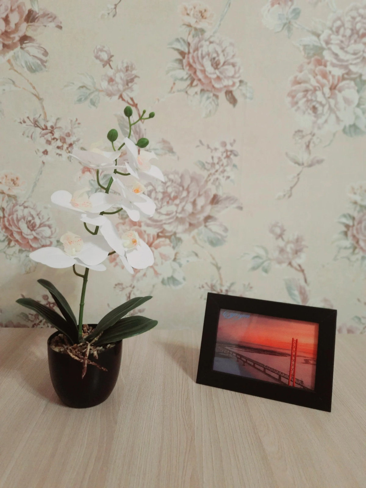 Квартира Однокомнатная на Проспекте Ленина 50