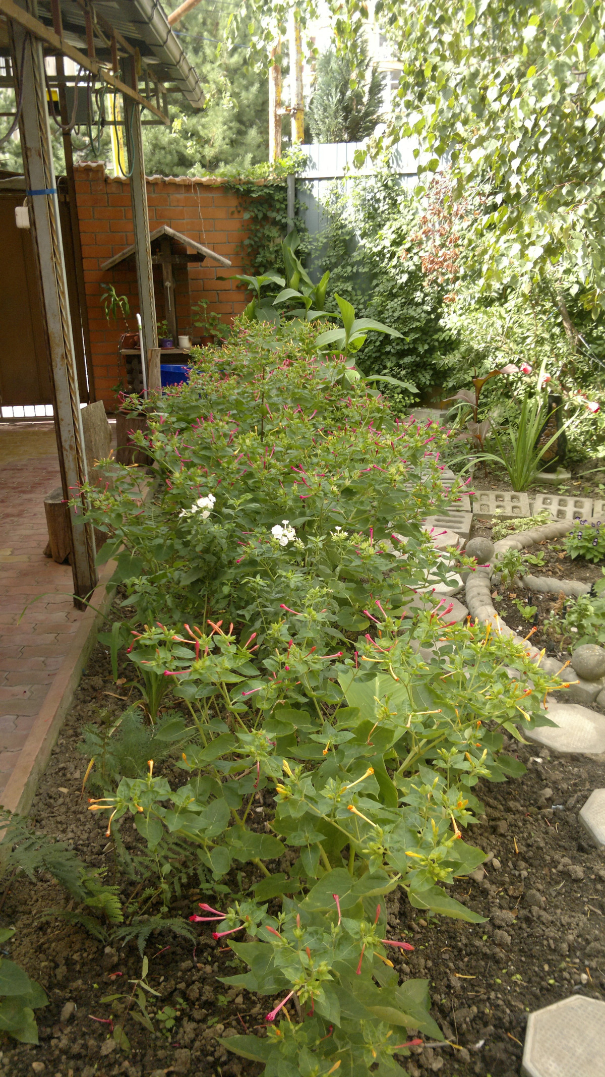 Гостевой дом Дом у Моря