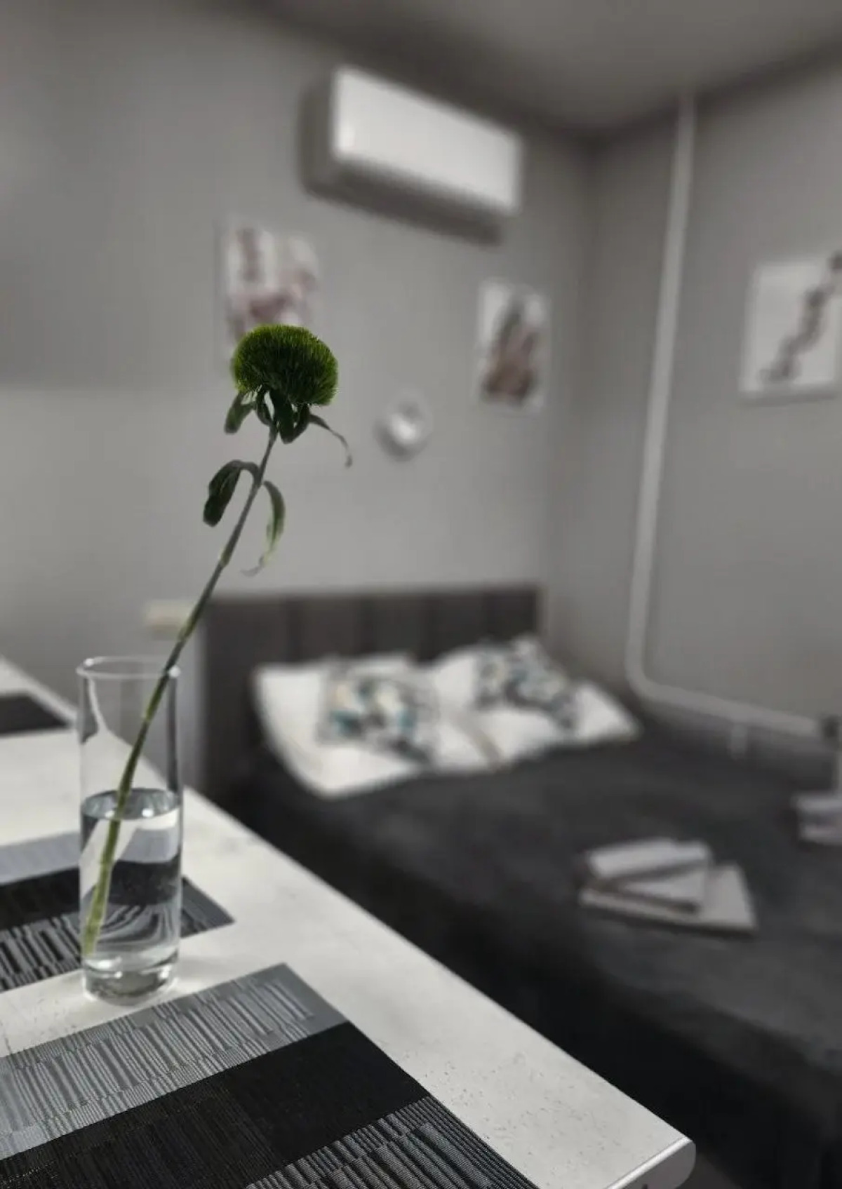 Апартаменты Уютная Студия №1