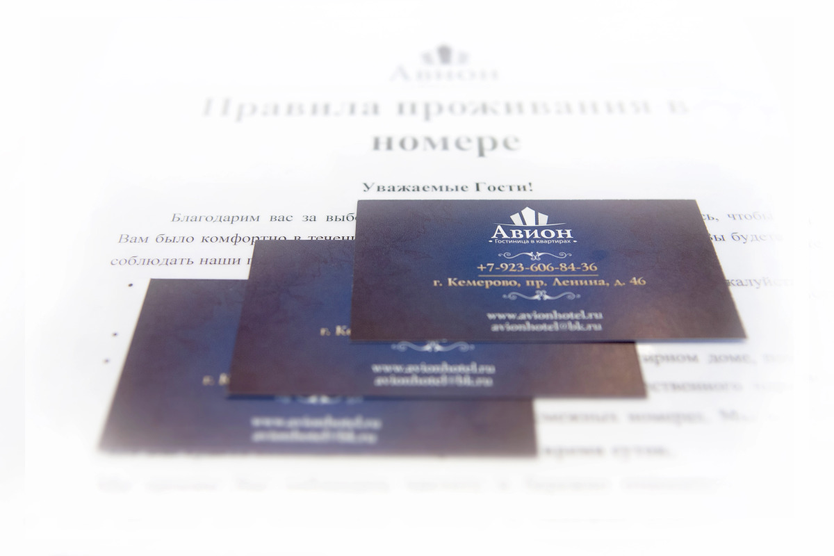 Двухместная мини-студия Авион