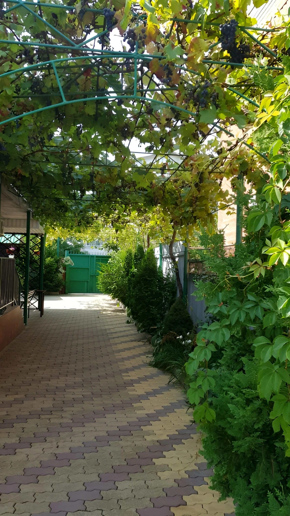 Гостевой дом Цветочный