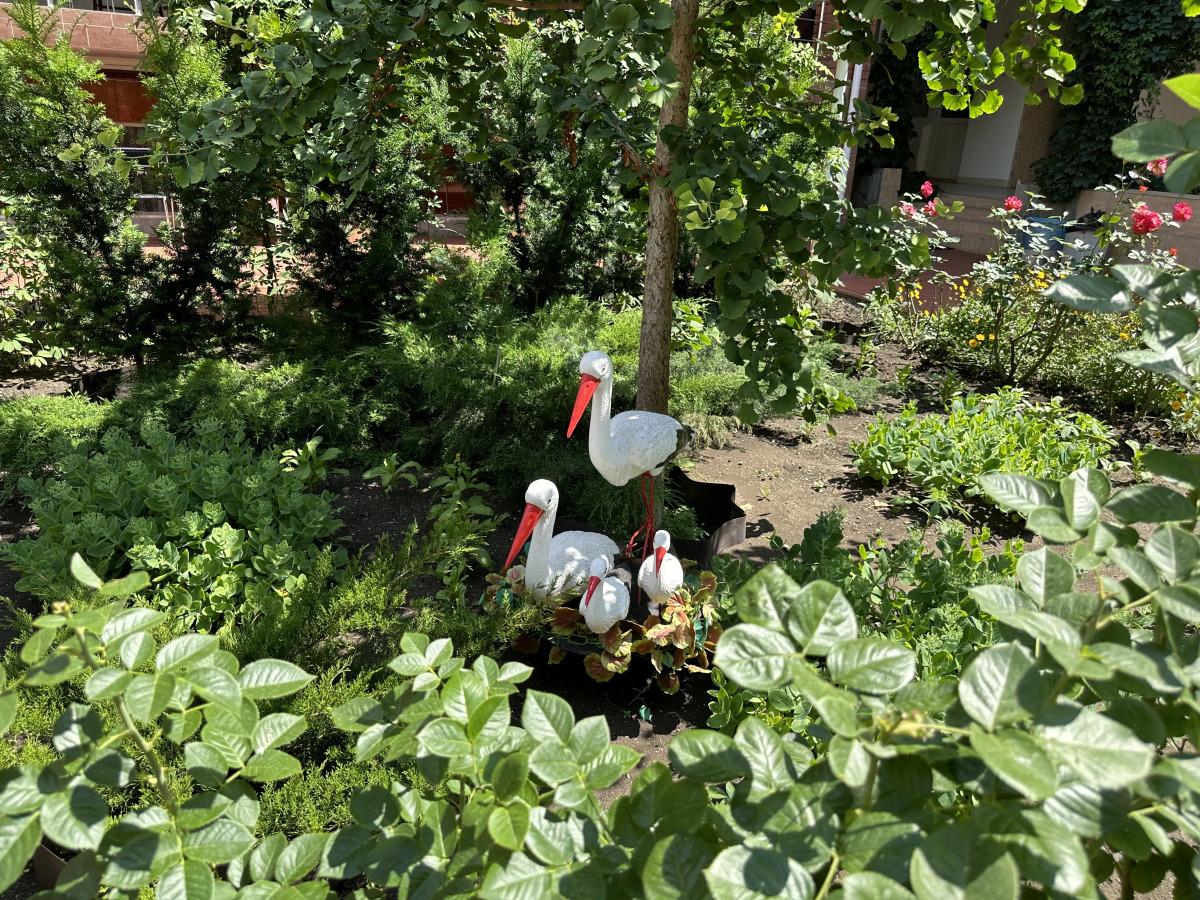 Гостевой Дом Отдых у Александра