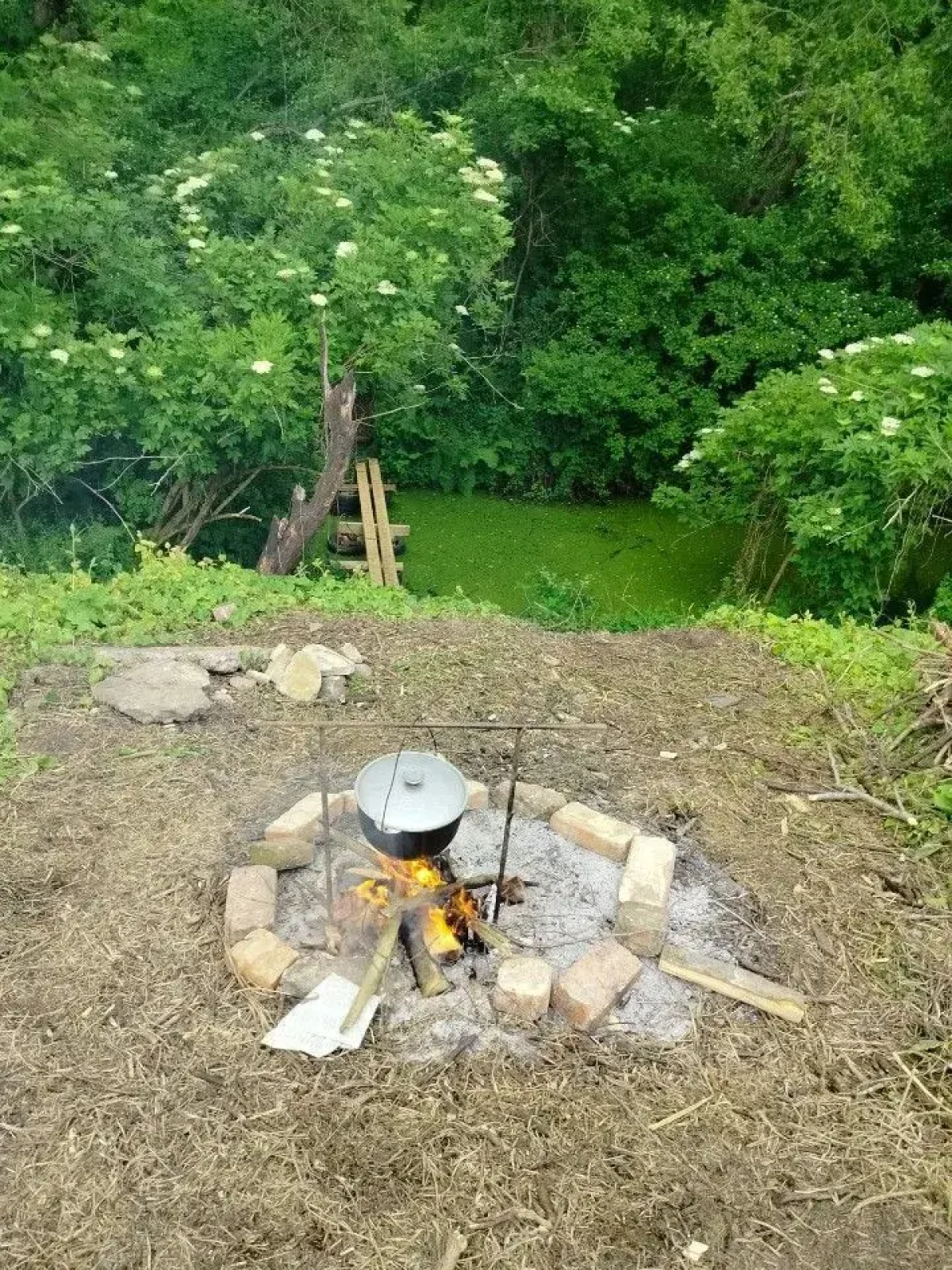 Частный дом у леса