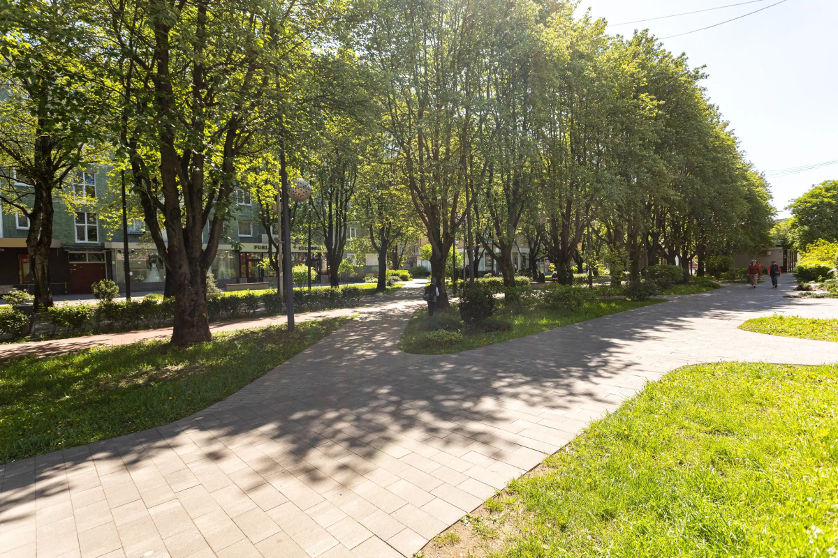 Апартаменты Золотая Рыбка в центре, Zoya-Apart