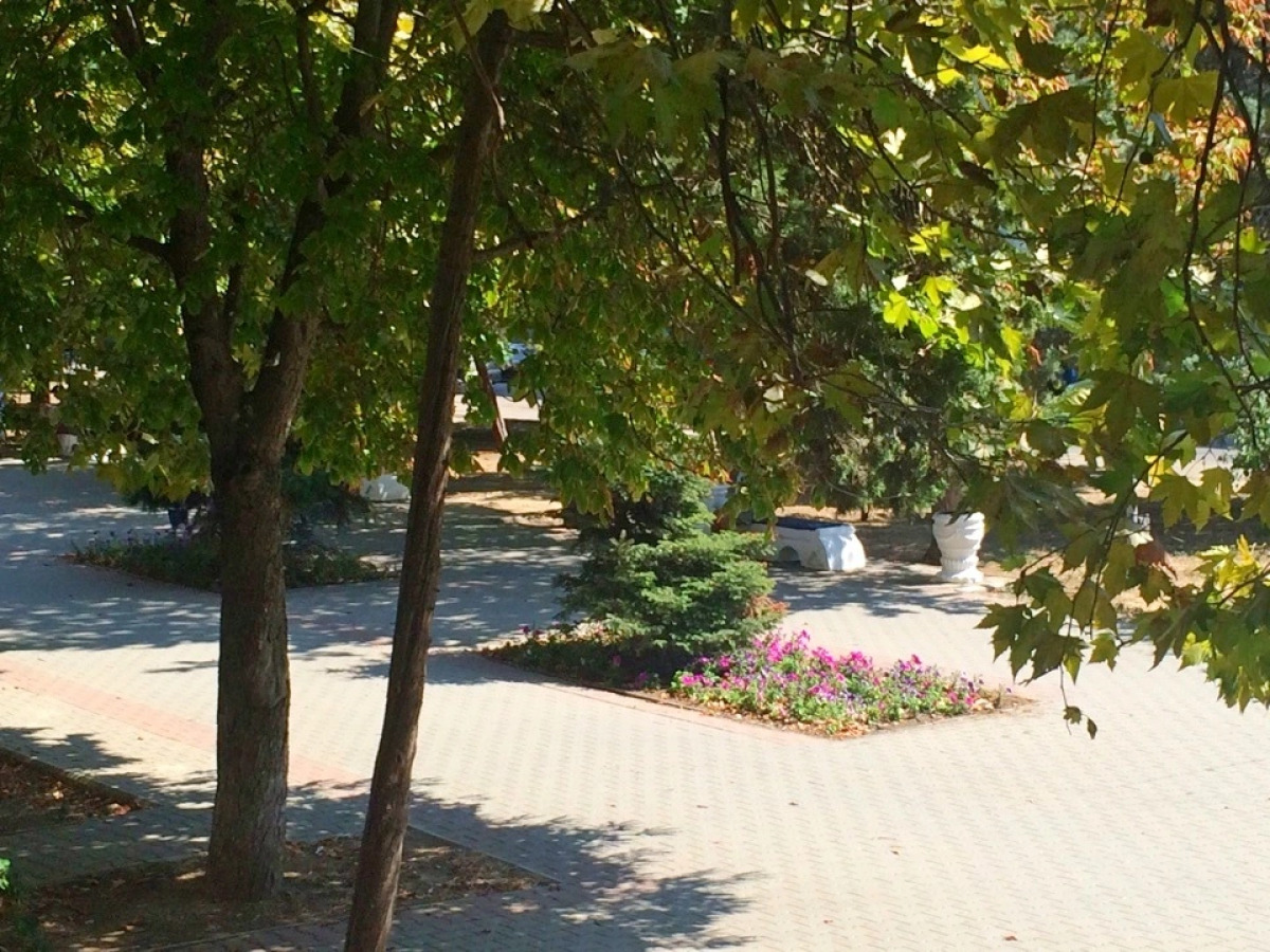 Апартаменты в Центре города