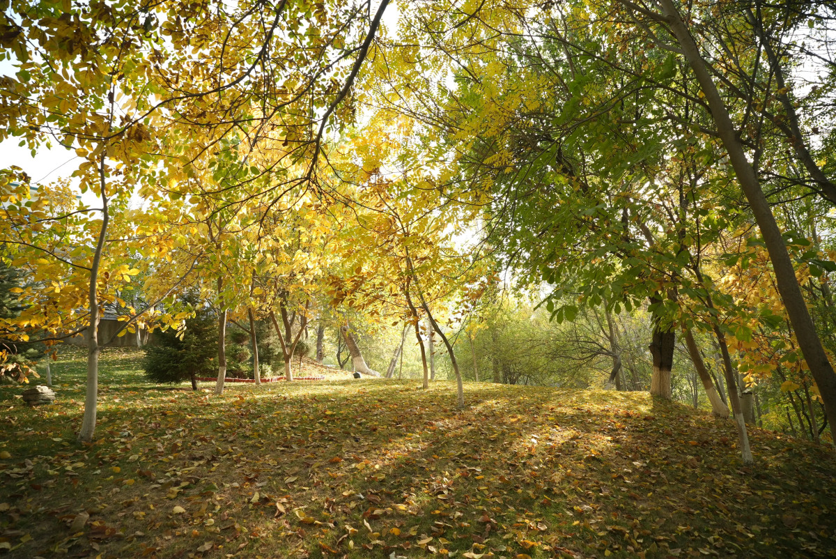 Wellmore Resort Hotel Charvak