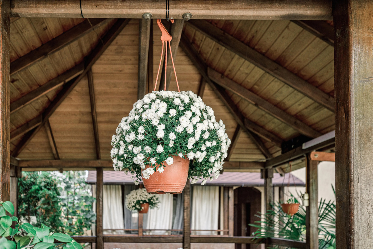 Гостевой дом Прованс