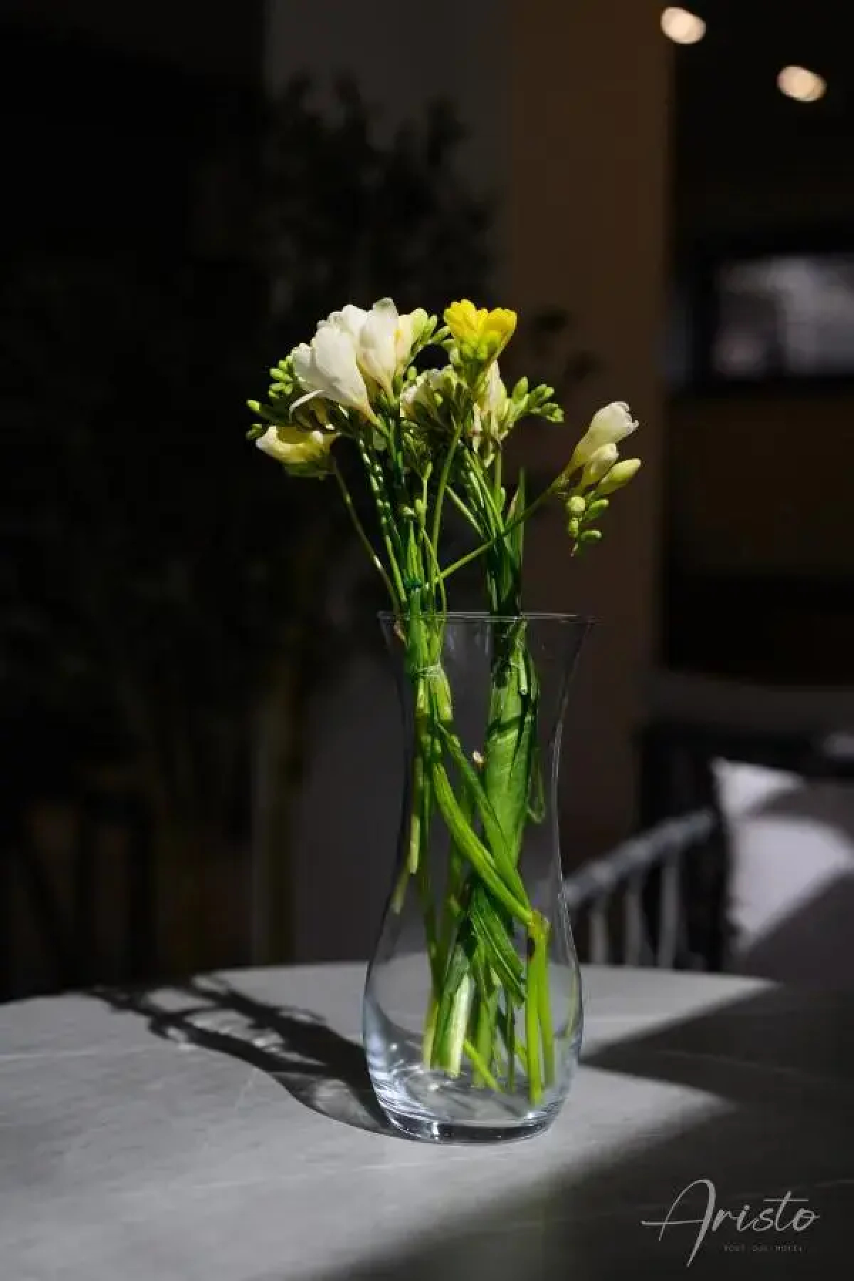 Aristo Boutique Hotel