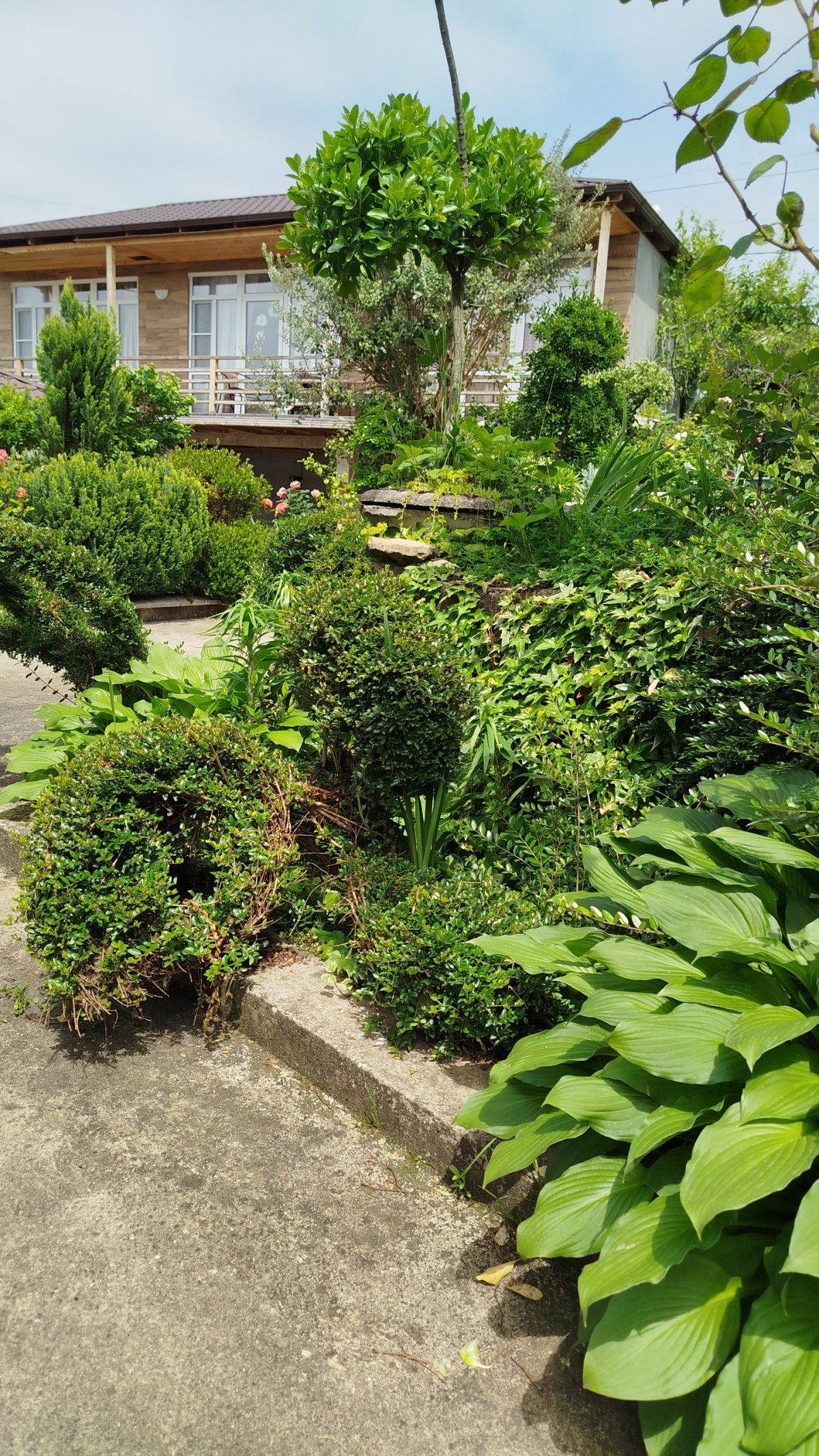 Гостевой Дом Леона