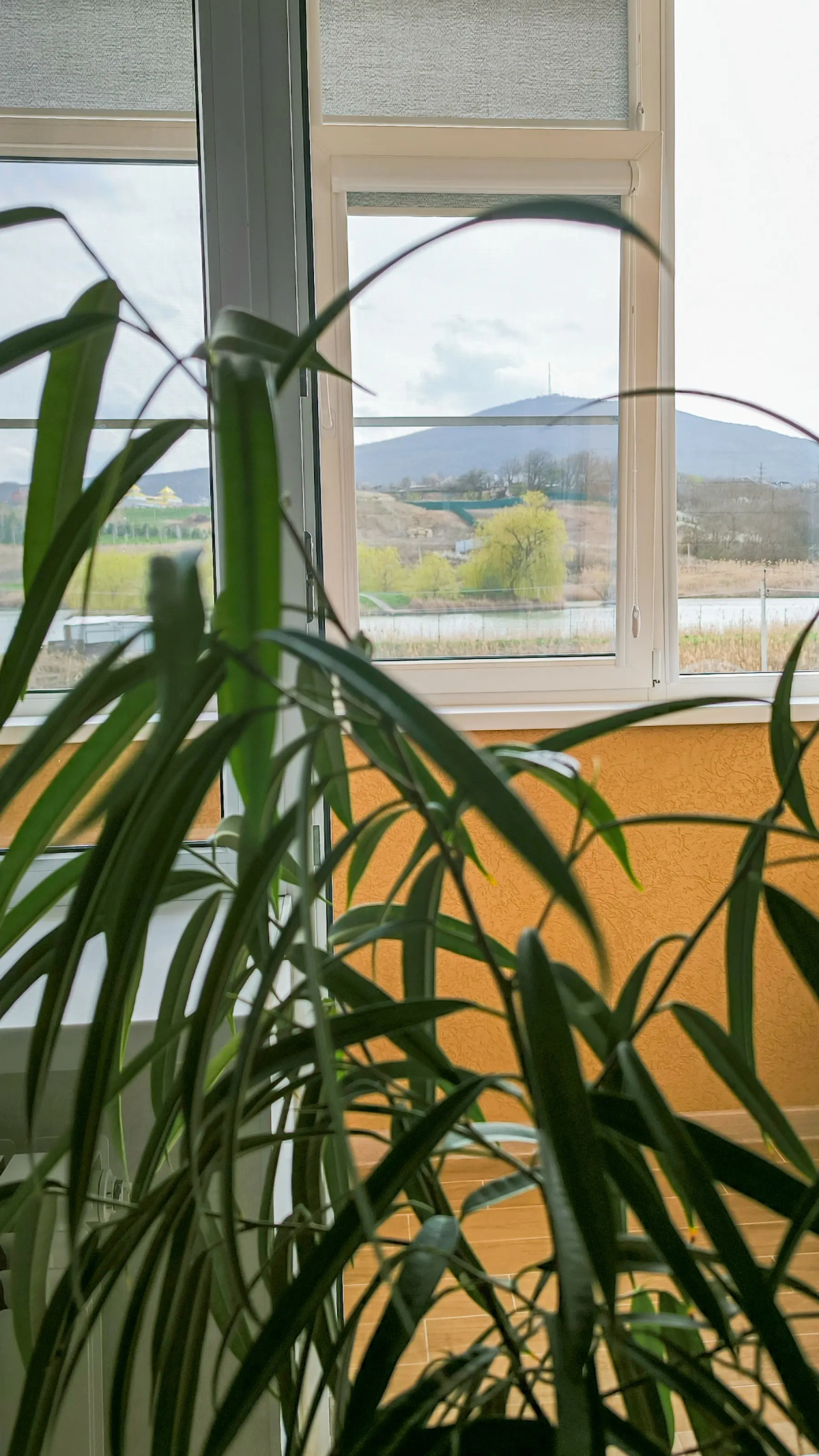 Квартира с видом на горы 4 этаж