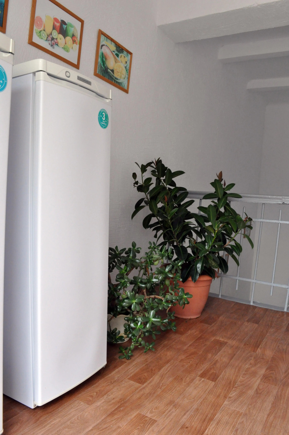 Отель Чайка