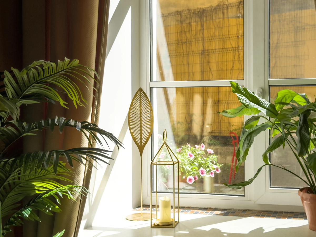 Апартаменты на Пестеля