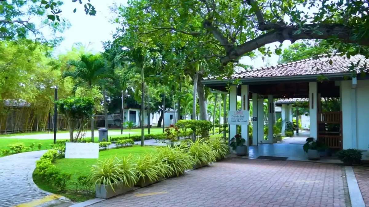 Отель Amaluna Resorts